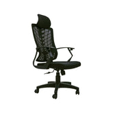 Executive  Ergonomic Chair LF-32 Proffice furniture